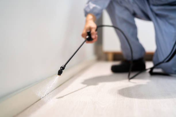 Rodent Entry Point Assessment in Yelm