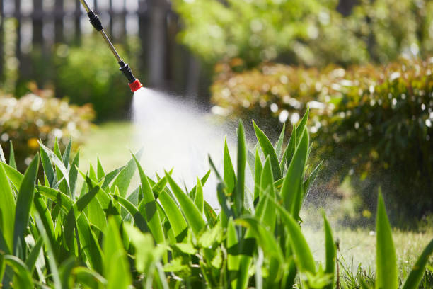 Tamper-Resistant Bait Stations for Rodents in Yelm