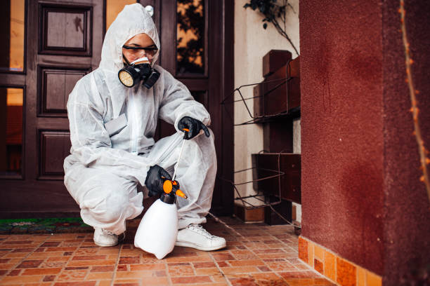 Attic and Crawl Space Rodent Treatment in Yelm